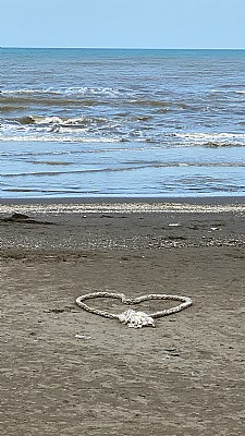 Love in the Beach