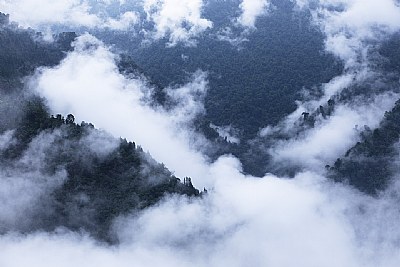 a misty landscape (ii)