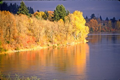Fall on the Willamette River