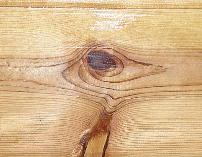 KNOT