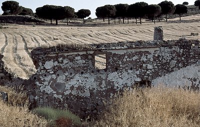 Ruin and Harvested Field