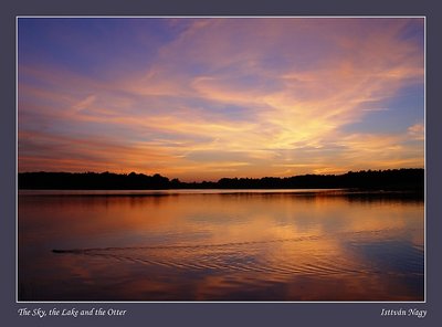 The Sky, the Lake and the Otter