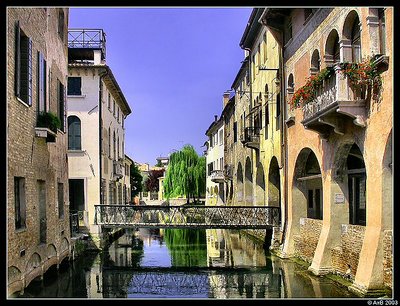 Treviso #3