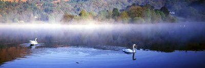 Mist on Grasmere