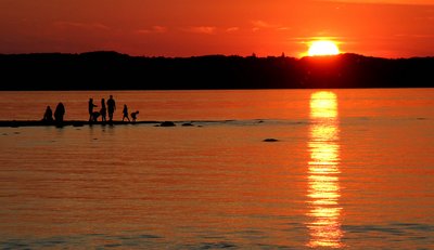 MID SUMMER SUNSET