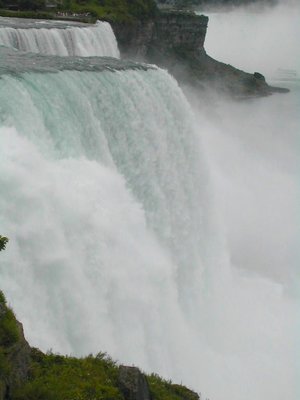 The Falls Niagra!