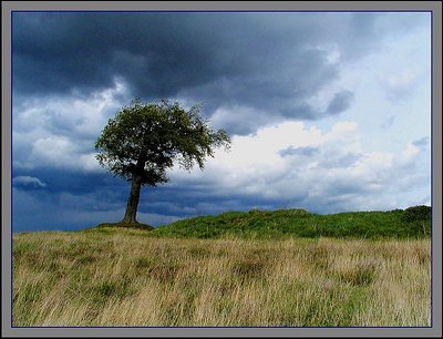 Alone on a Hill