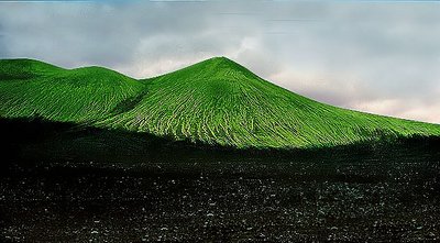 Greens hills / black ground