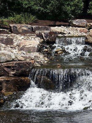 Water Garden