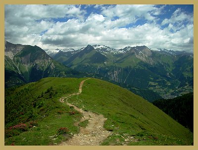 the road to the mountains