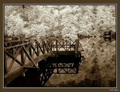 Silence On The Lake (IR)