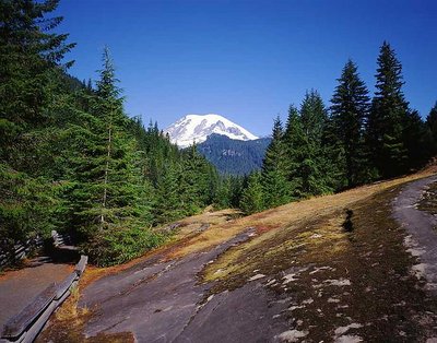 Mt. Rainier From Box Canyon