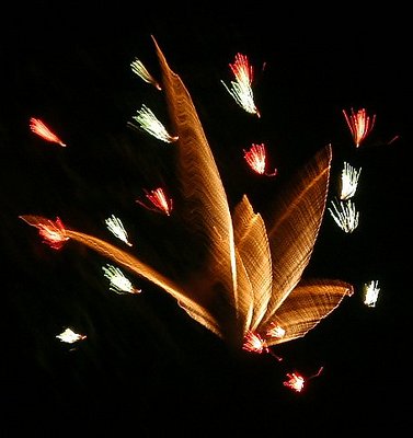 Firework-1-