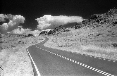 Curvy Road