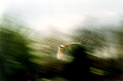 In Flight