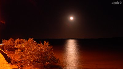 The Moon and  the Sea