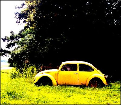 The End of an Era: the bug discontinued this past week