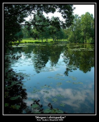 Morning in the Royal park