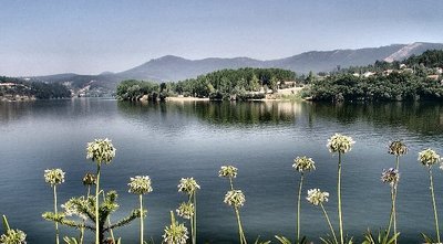 "The river Douro" - Portugal