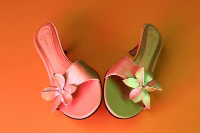 Fairy's shoes