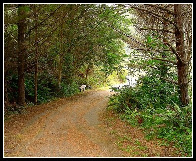 Beach Path