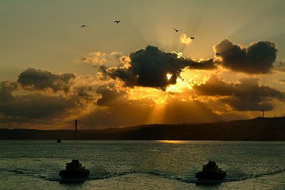 Boats, Birds and SunRise