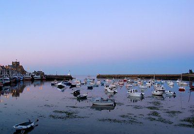 Sleeping harbour....