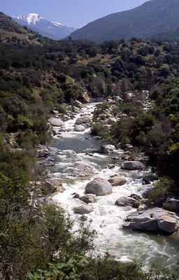 Kaweah River