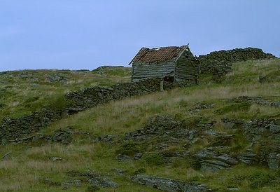 Old farmland