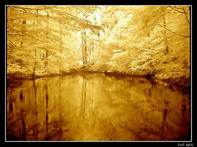 Golden Pond (IR)