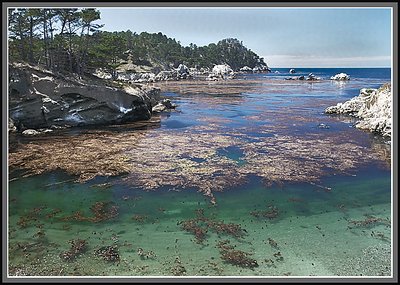 Cove at Pt Lobos Ca