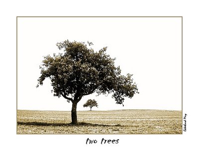 two trees