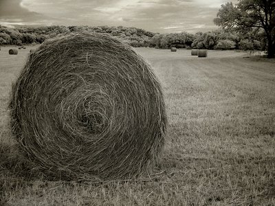 Harvest in IR