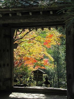 KYOTO Autumn-3-.