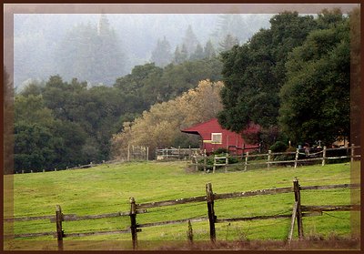 Cari's Red Barn