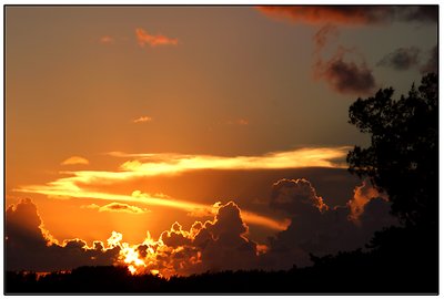sun set #5