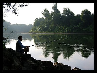 Morning river