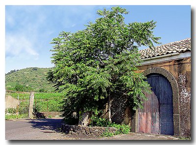 ....On the Etna's road