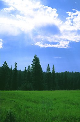 Meadow at Hume