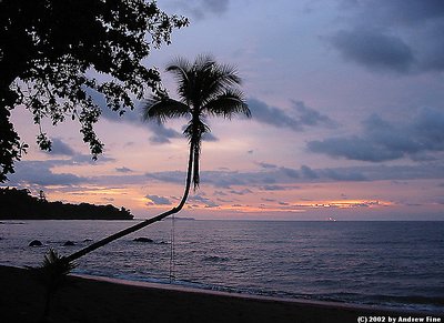 Sunset Swing