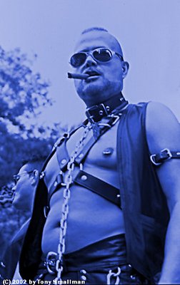 Pierced,Chained and Collared