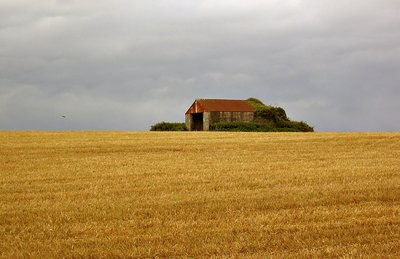 Isolated Barn