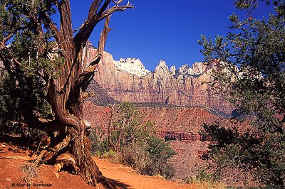 Zion Canyon National Park (s1125)