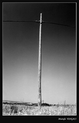 this is not a pole's photo