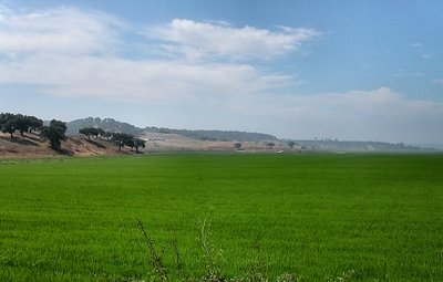 Alentejo Landscapes 01