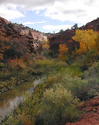 Colorful Utah River Valley...