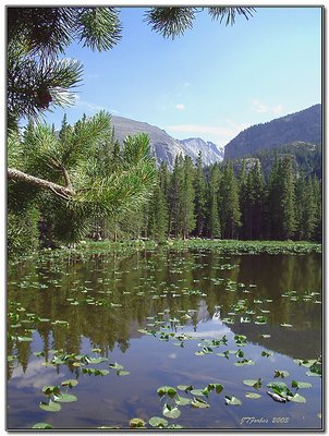 High Mountain Lake