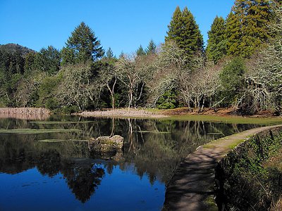 Along the Dam