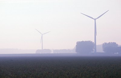 guardians in the mist