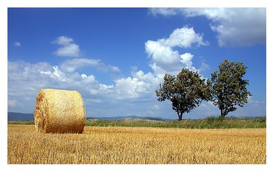 Roll in the hay